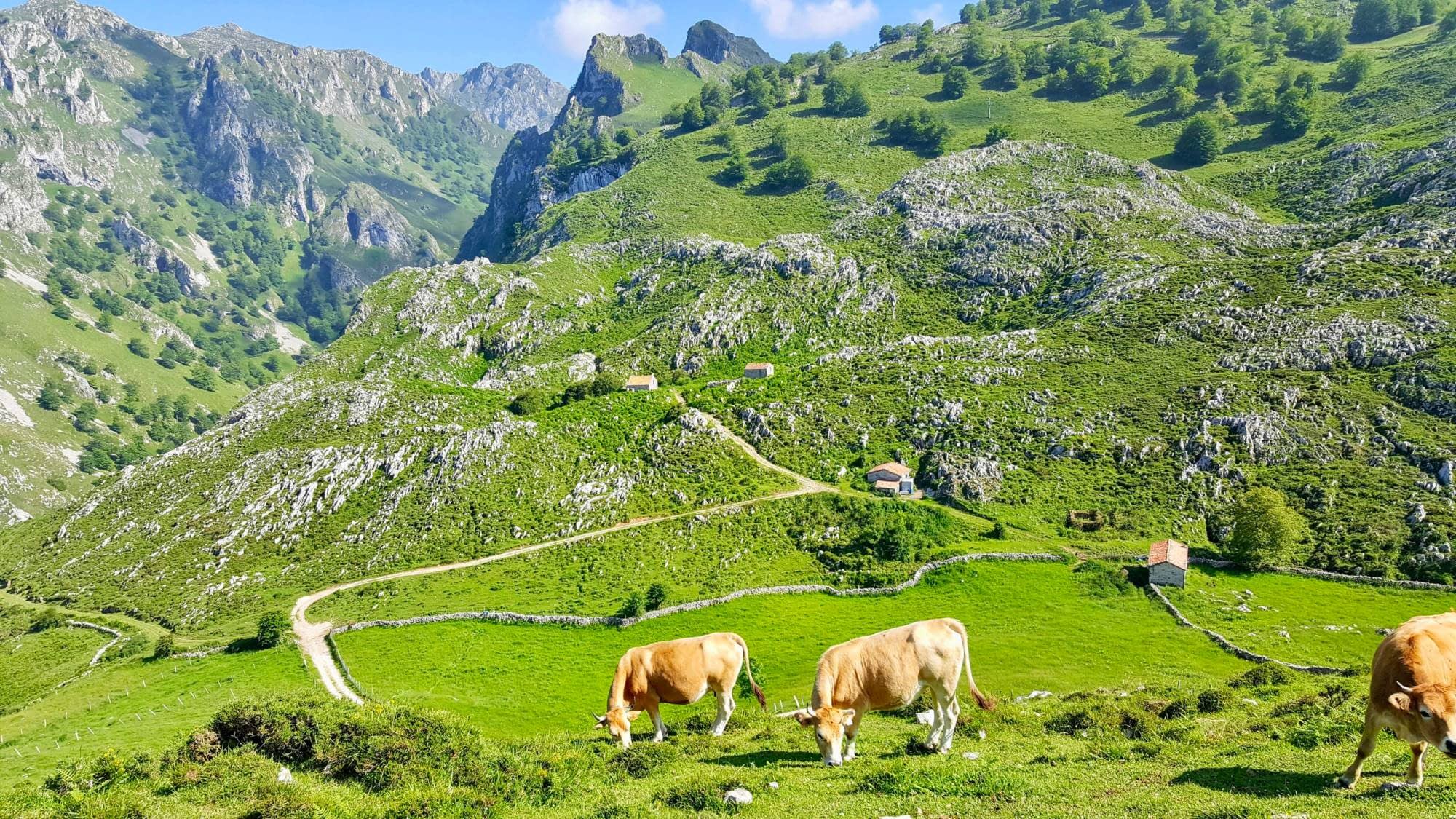 Conjunto De Turismo Rural La Tabla